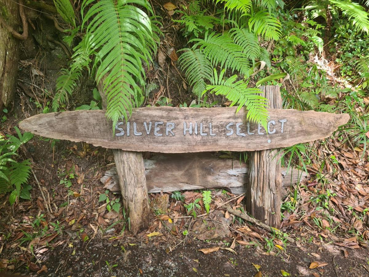 Silver Hill Select Spa Spring Zewnętrze zdjęcie